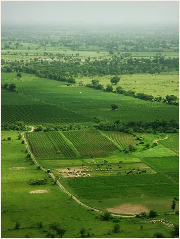 Aerial view of parcelled farmland showing property boundaries
